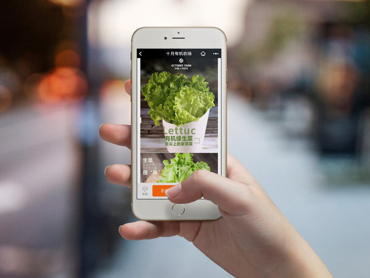 有机农业品牌策划设计