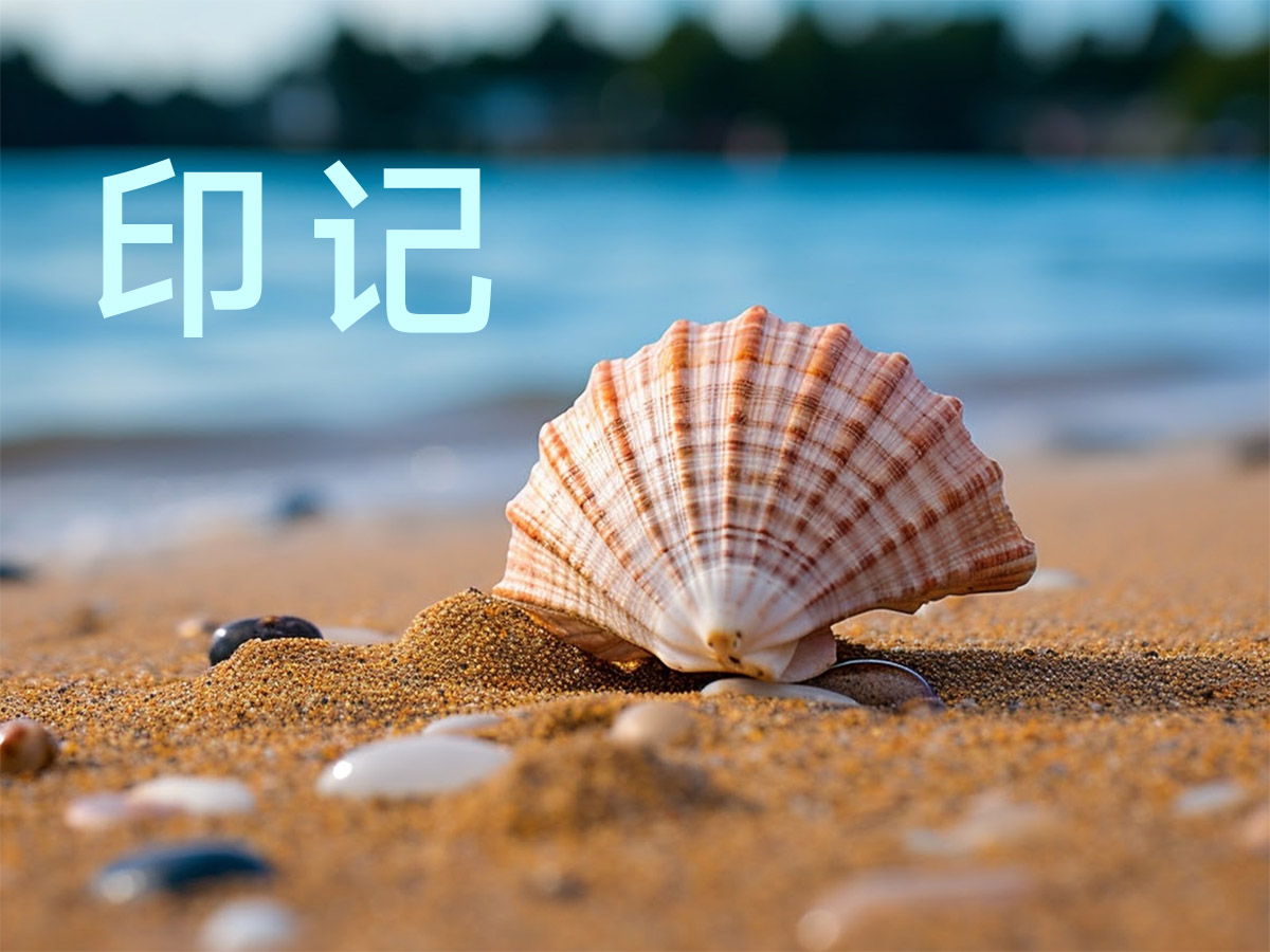 核心点品牌设计，VI 设计的本质是降低用户的识别成本！