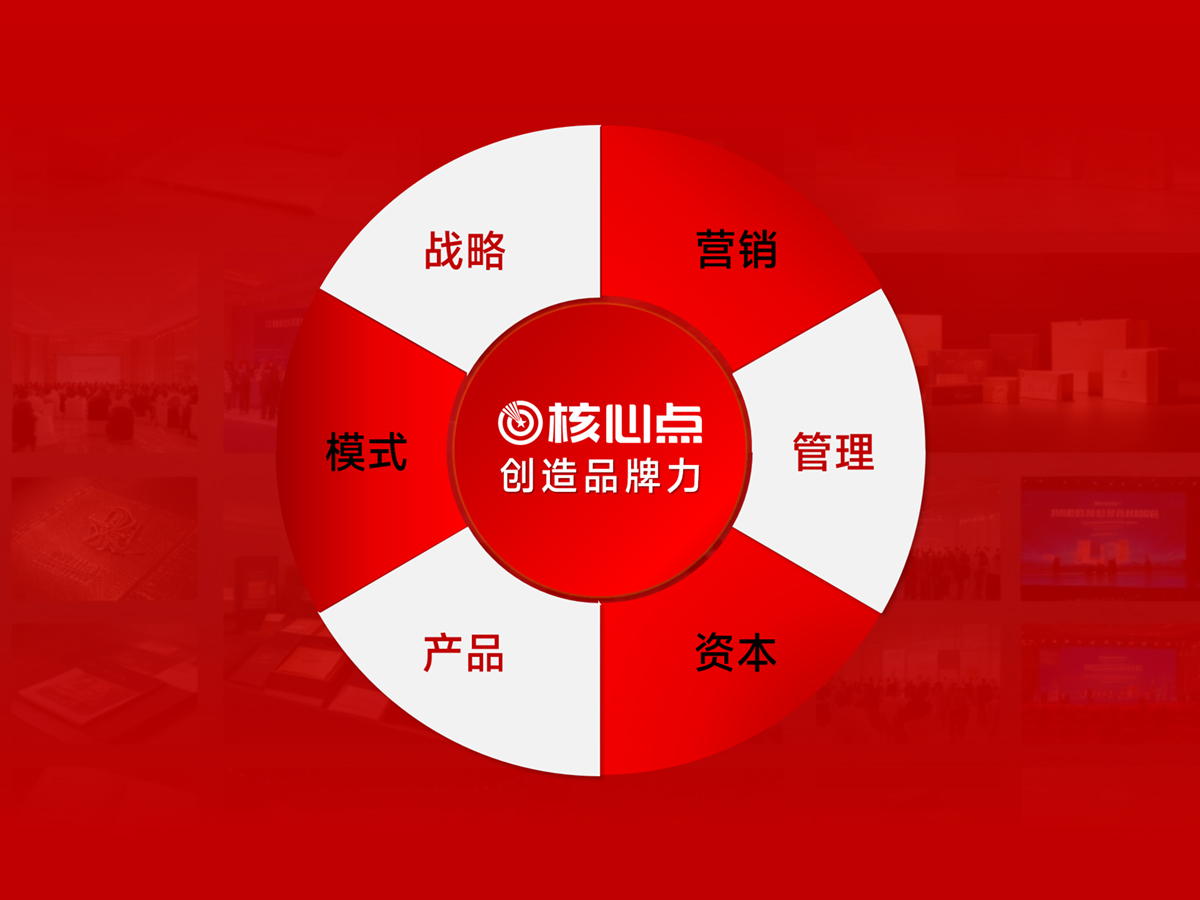 战略、模式、品牌、产品、营销、管理、资本，谁最重要！
